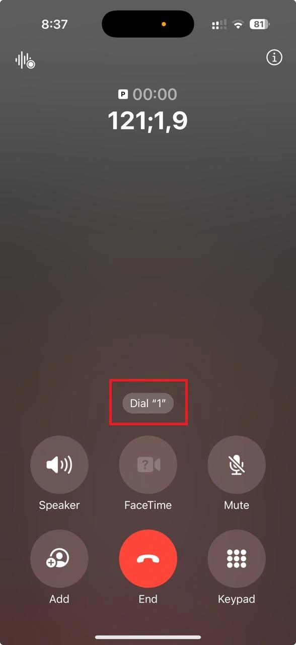 Bypass IVR