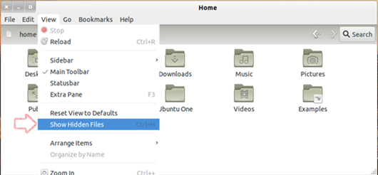 View Hidden Files and Folder in Ubuntu or Linux