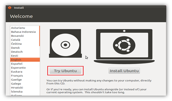 Boot System using Ubuntu Live Disk