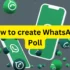 Create Whatsapp Poll